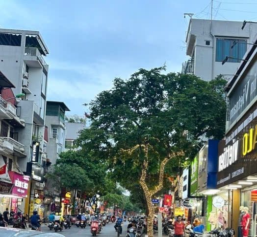 Nhà phố Ngọc Lâm 41m² giá 6 tỷ - Vị trí đẹp, gần chợ và vườn hoa