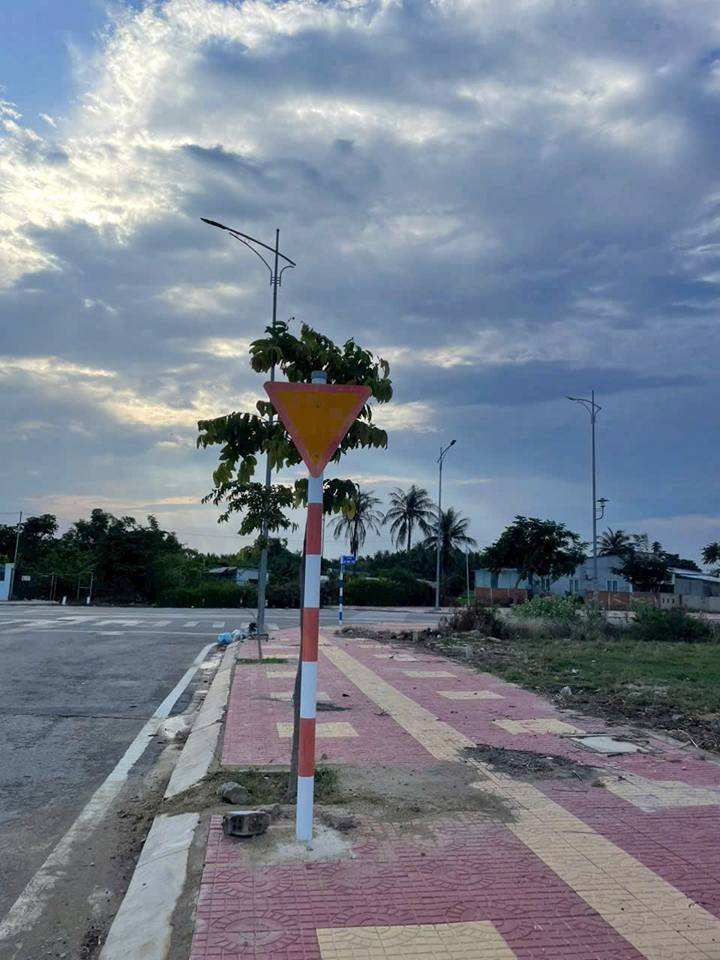 Đất nền Phan Đăng Lưu, 69.75m² giá 1.79 tỷ - Vị trí đẹp, đường rộng!