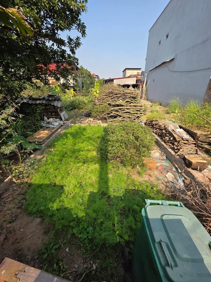 Đất nền Khu Phố Đức Hiệp, Bắc Ninh 73m² - Ô tô tải vào tận nơi!