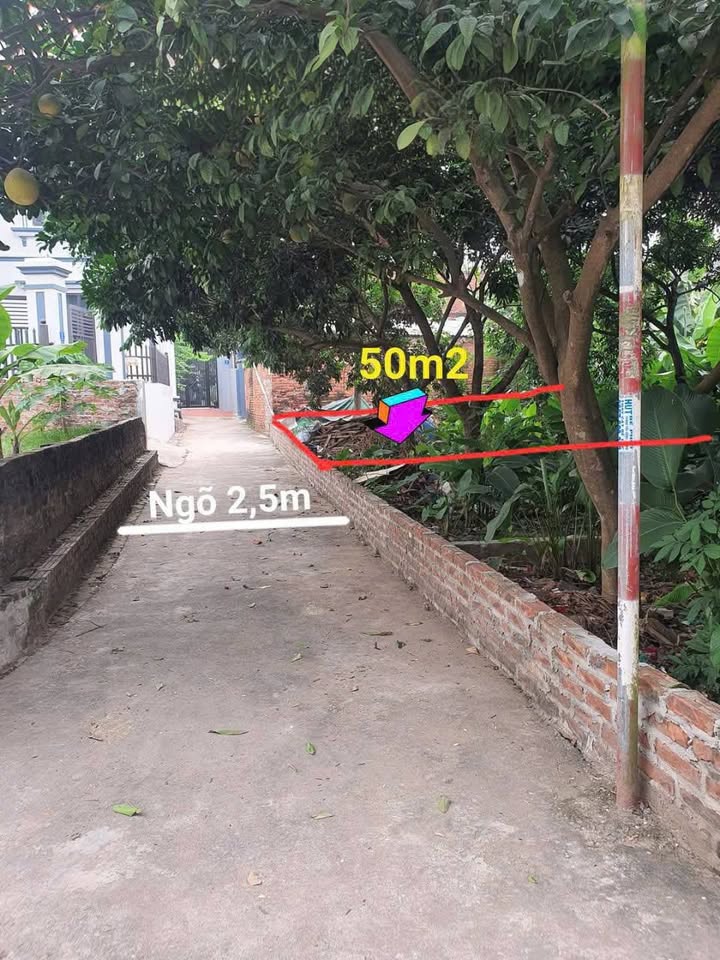 Đất nền 50m² Xã Thanh Mai, Huyện Thanh Oai - Giá thỏa thuận, cơ hội đầu tư hấp dẫn!