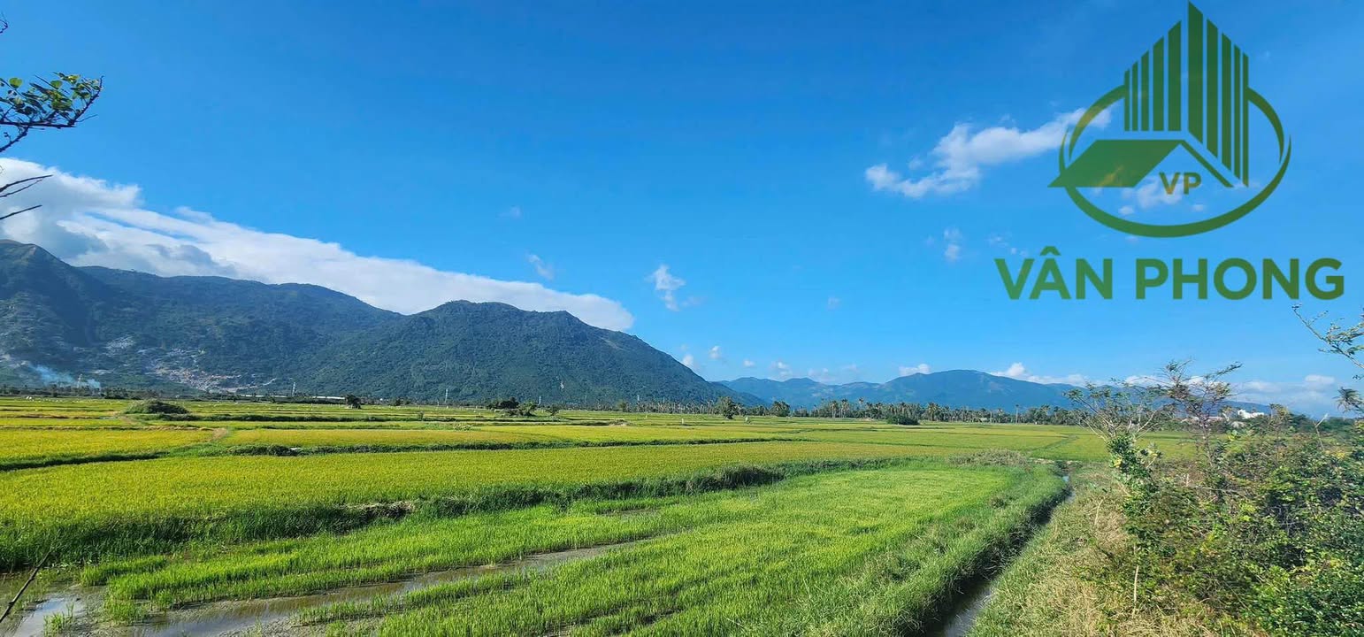 Lô đất CLN thôn Tân Phước, xã Tu Bông 369,2m² giá 1.108 tỷ - Đầu tư sinh lời ngay!