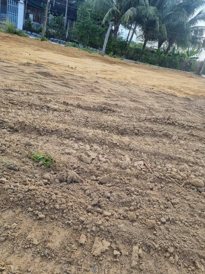 Đất thổ cư mặt tiền đường bê tông tại Ninh Lộc, 1079m², giá 2 tỷ - Cơ hội đầu tư tuyệt vời!