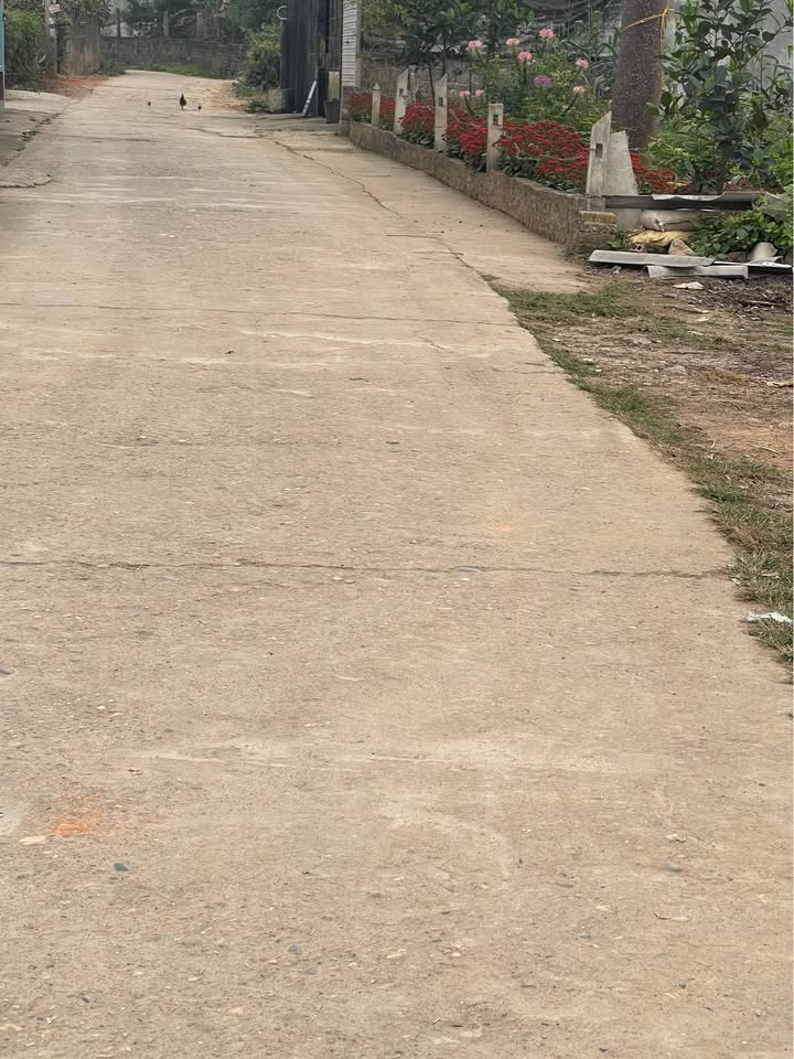 Đất thổ cư Lưỡng Vượng, Tuyên Quang 250m² - Giá thỏa thuận hấp dẫn!