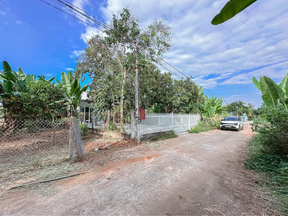 Đất nền chính chủ Trảng Bom 250m² giá 1.2 tỷ - Pháp lý rõ ràng