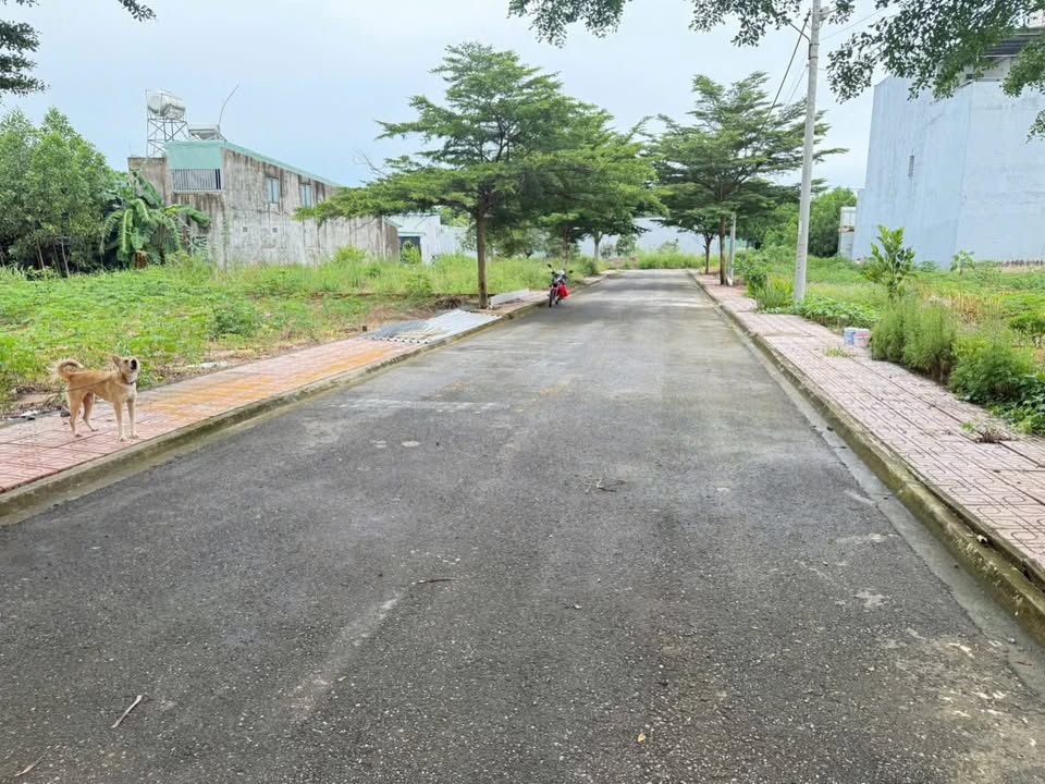 Đất nền liền kề Trảng Bom 100m² giá 800 triệu - Sổ hồng chính chủ!