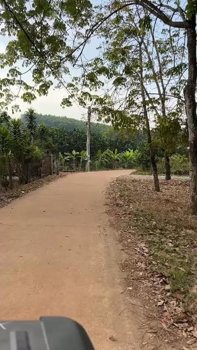 Đất nền 1000m² tại xã Tân An, giá chỉ 800 triệu - Sổ riêng chính chủ!