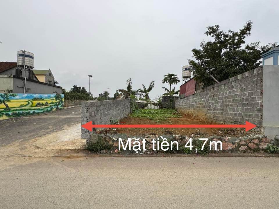 Đất nền tại Xã Đại Yên, Huyện Chương Mỹ, 65m² giá chỉ 2 tỷ - Sổ hồng sẵn, công chứng ngay!