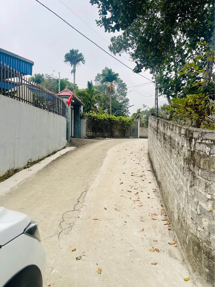 Đất nền lô góc 600m² Tân Vinh, Lương Sơn - Giá tốt nhất khu