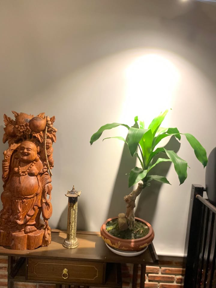 Đất nền Xã Đông Hiệp, Huyện Cờ Đỏ, 975m² - Sổ đỏ chính chủ, pháp lý rõ ràng!