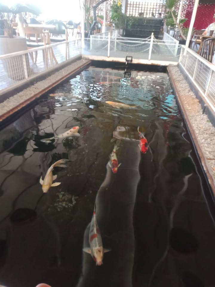 Đất thổ cư Phú Bài 611m² giá chỉ 3.055 tỷ - Nằm cạnh KCN Glimix!