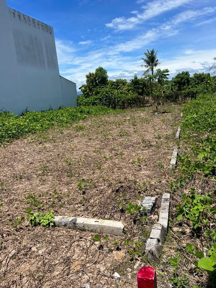 Đất thổ cư 136m² tại Diên Hòa, Diên Khánh giá 975 triệu - Đầu tư sinh lời ngay!