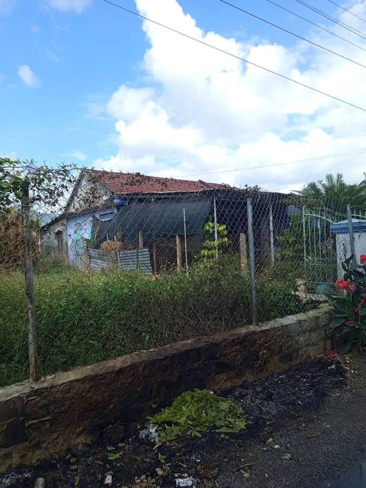 Nhà cấp 4 Diên Điền 400m² giá 1.43 tỷ - Chính chủ bán gấp!