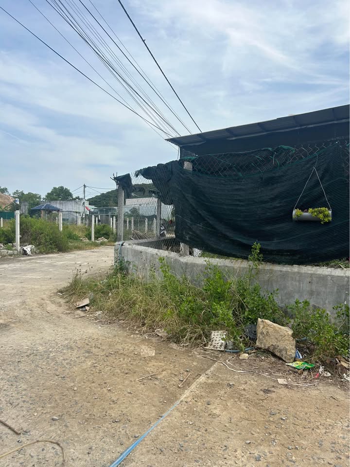 Lô đất Warehouse tại Thôn Phước Thượng, 360m² giá 1.3 tỷ - Dòng tiền thụ động 2.5 triệu/tháng!