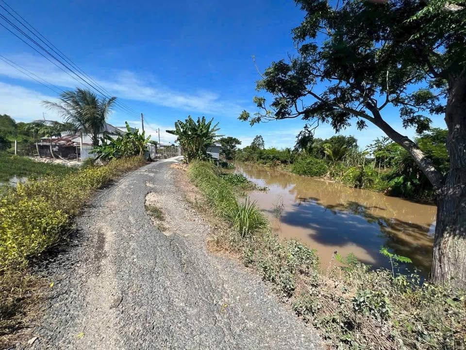 Đất lúa 6000m² tại Long Xuyên, An Giang - Giá chỉ 3 tỷ - Tiềm năng đầu tư lớn!