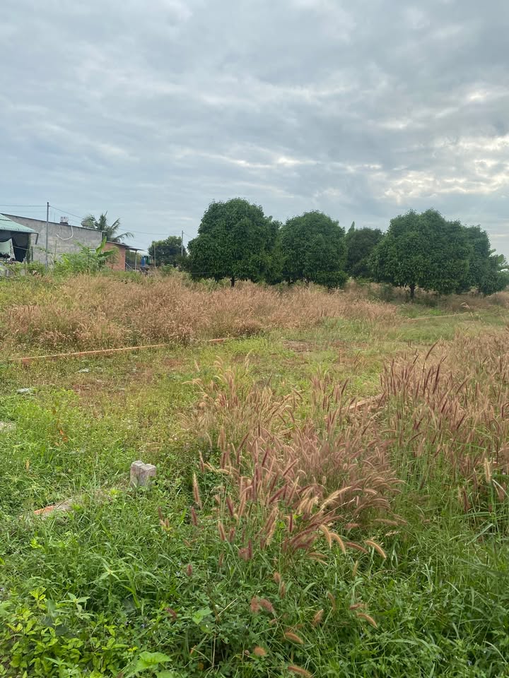 Đất nền xã Đất Đỏ, Bà Rịa - Vũng Tàu 200m² giá 650 triệu - Vị trí đắc địa gần chợ