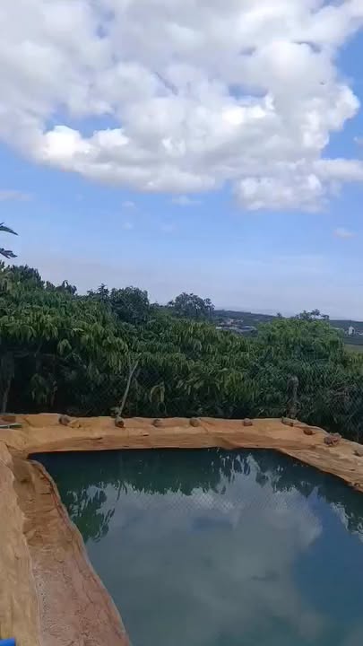 Đất thổ cư 8.500m² Xã Liên Hà giá 4.5 tỷ - Cơ hội đầu tư hấp dẫn!