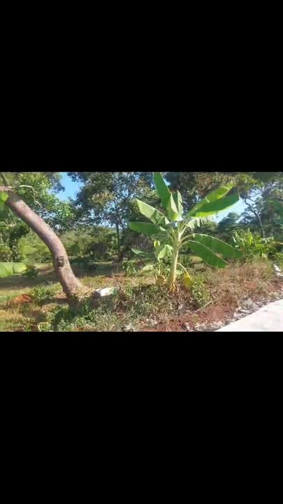 Đất Farm 70.000m² tại Xã Bù Gia Mập, Giá 1.05 tỷ - Vị trí lý tưởng cho nghỉ dưỡng