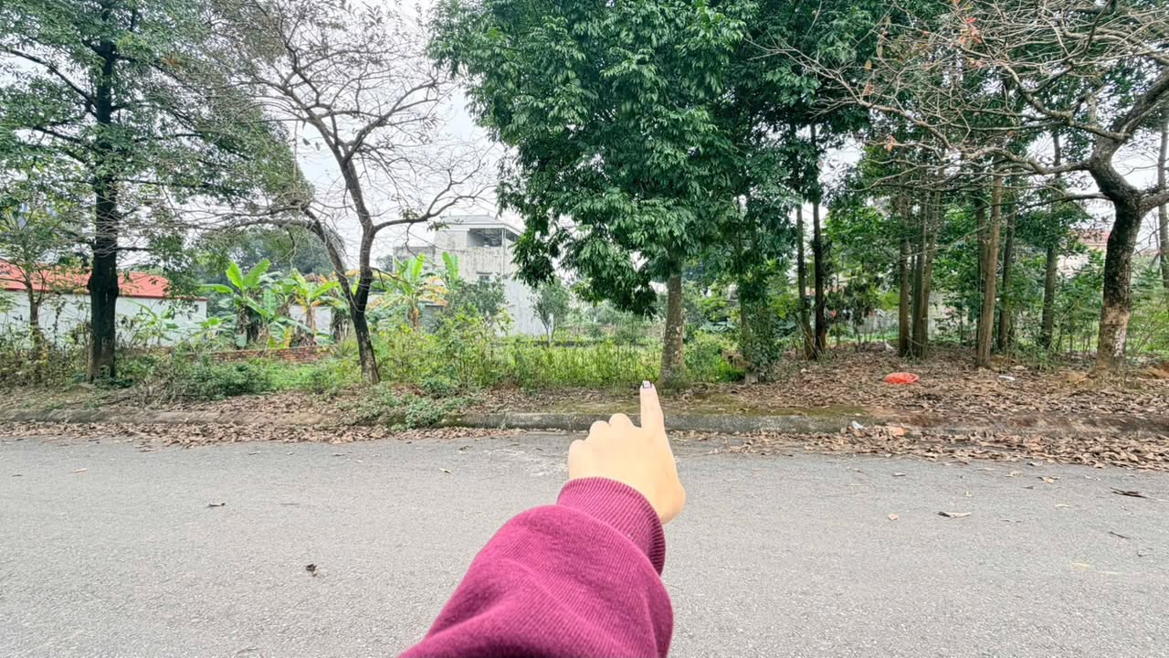 Đất nền dự án Phú Cát, Quốc Oai, 100m² giá 4 tỷ - Đầu tư sinh lời hấp dẫn!