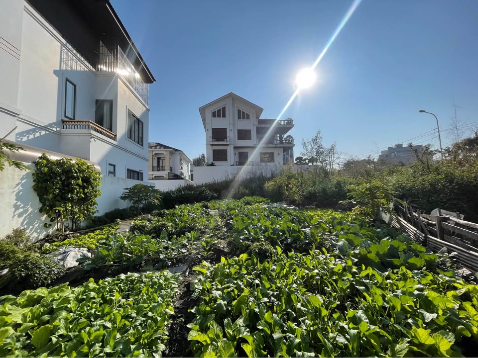 Đất biệt thự góc Đồi Sato Hạ Long 297m² giá 16.335 tỷ - Sổ đỏ lâu dài!