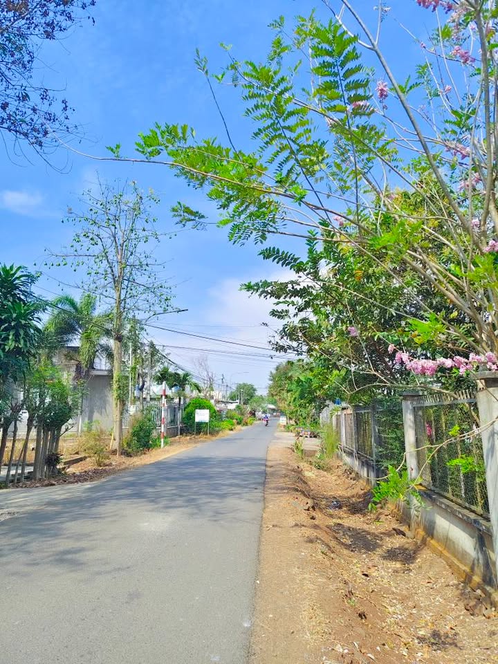 Đất thổ cư Xuân Thọ 132m² giá 430 triệu - Cơ hội đầu tư tuyệt vời!