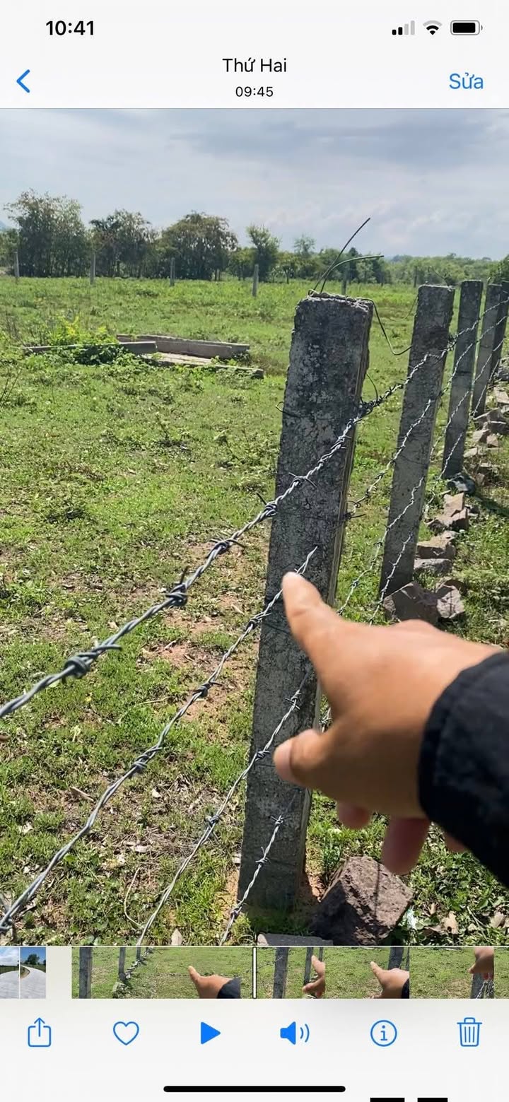 Đất Farm 2000m² tại Xã Hồng Liêm, Giá 440 triệu - Cơ hội đầu tư hấp dẫn!