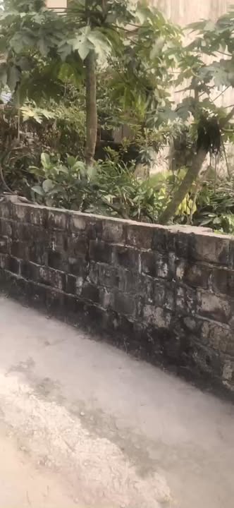 Đất nền Tân Hương Ninh Giang 121m² giá 2 tỷ - Mặt tiền 7m thuận lợi!