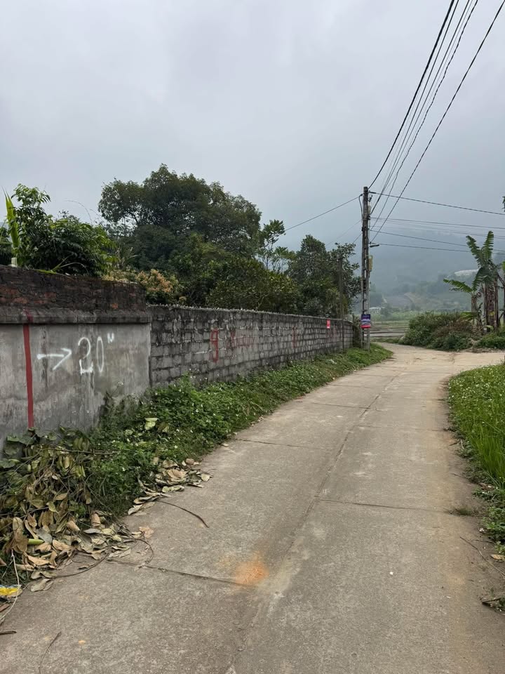 Đất nền Hà Thượng, Đại Từ 300m² giá chỉ 800 triệu - Cơ hội đầu tư sinh lời!