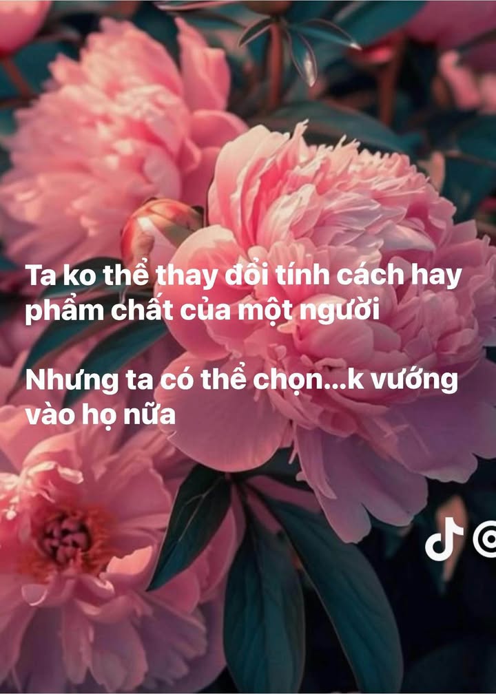 Đất bờ kè Cẩm Lạc, Cẩm Xuyên 200m² giá chỉ 600 triệu - Cơ hội đầu tư hấp dẫn!