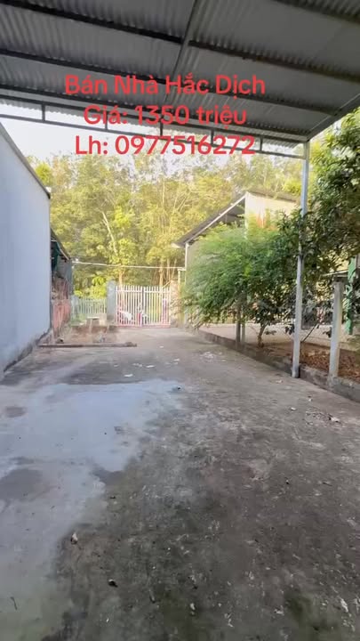 Nhà riêng Tái Định Cư Hắc Dịch, 130m² giá 1.35 tỷ - Chính chủ bán gấp!