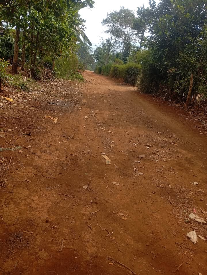 Đất nền xã Ea H'đinh, huyện Cư M'gar, 320m² giá 3.2 tỷ - Đầu tư lý tưởng!