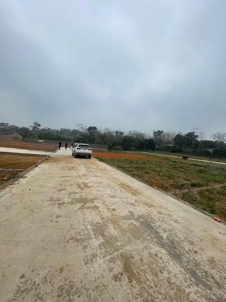 Đất nền 100m² tại Phú Sơn, Ba Vì - Đầu tư siêu lợi nhuận chỉ 600 triệu