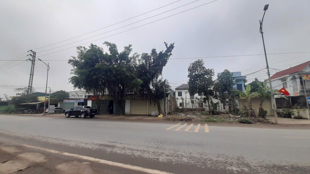 Bán FrontHouse 250m² đường 87, Ba Vì - Giá chỉ 5 tỷ, cơ hội đầu tư tốt!