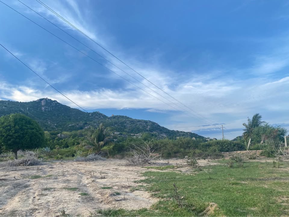 Đất sào mặt biển Mỹ Hòa, Ninh Thuận 3499m² giá 10.497 tỷ - Cơ hội đầu tư hấp dẫn!