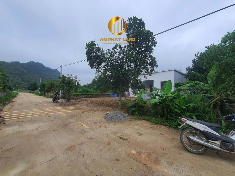 Đất nền Phú Sơn Nho Quan 964m² giá 2 tỷ - Tiềm năng sinh lời lớn!