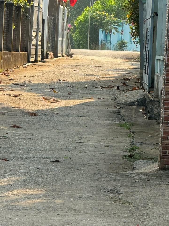 Đất nền Sân bay Long Thành 115m² giá 1.5 tỷ - Cơ hội đầu tư tuyệt vời!