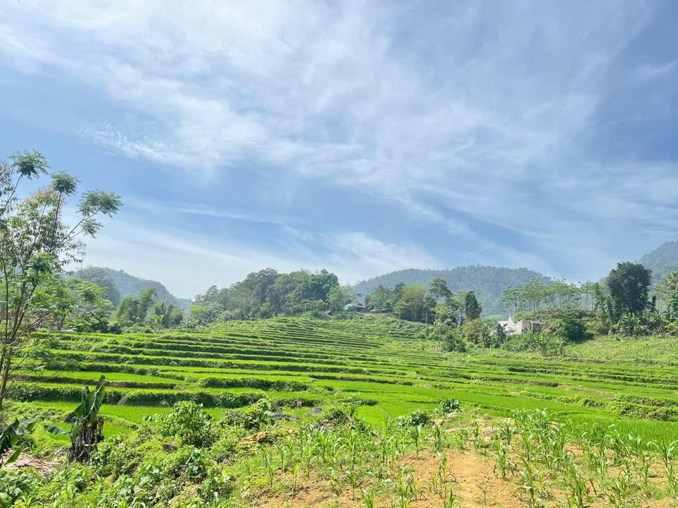 Đất nền Xã Trung Thành, Huyện Đà Bắc, 1512m² chỉ 7.7 triệu - Cơ hội đầu tư tuyệt vời!