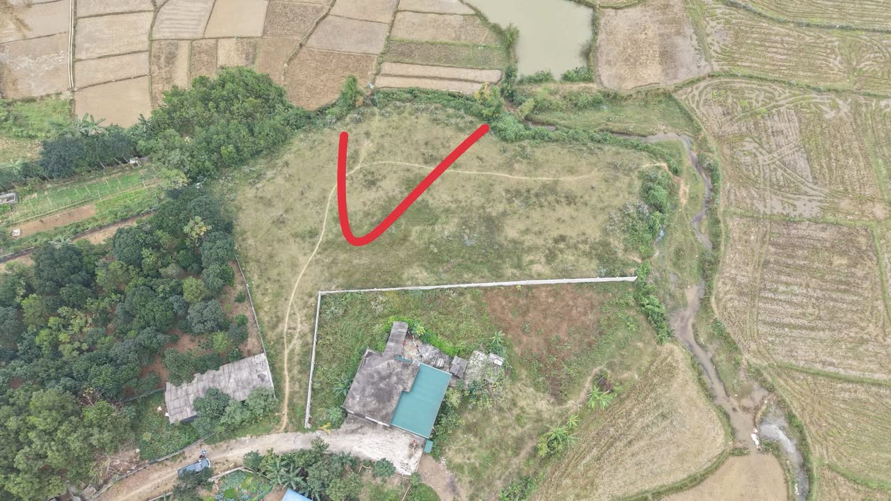 Đất thổ cư Xóm Mỹ Đông, xã Dũng Tiến, 2608m² - Cơ hội đầu tư hấp dẫn!