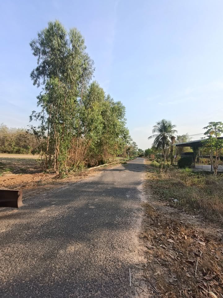 Đất nền mặt tiền đường nhựa Phước Vinh 1000m² giá chỉ từ 100 triệu - Cơ hội đầu tư hấp dẫn!