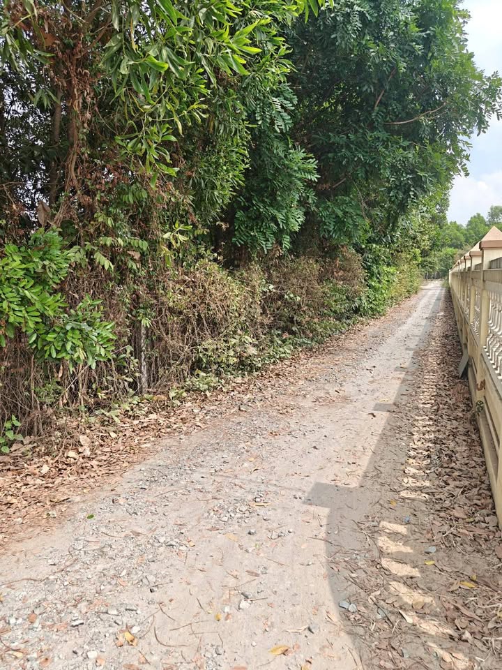 Đất nền xã Thanh Điền, huyện Châu Thành, 244m² giá 480 triệu - Đầu tư lý tưởng!