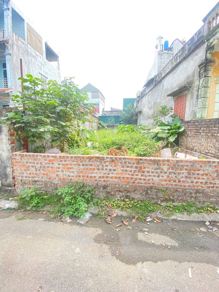 Đất nền Kiêu Kỵ, Gia Lâm 66m² giá 5.x tỷ - Sổ đỏ chính chủ!