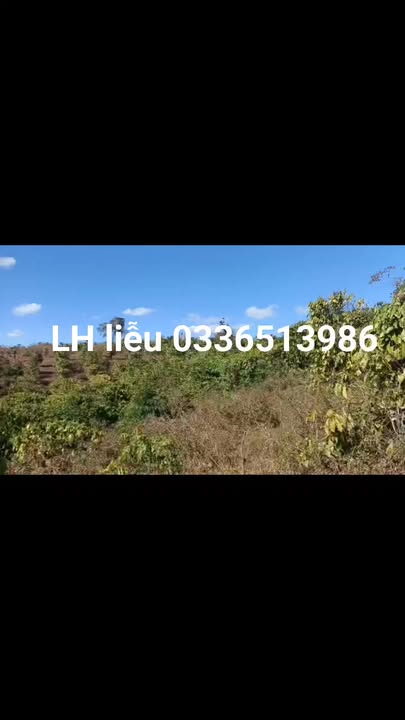 Đất nông nghiệp 1ha tại xã Ia Ko, Gia Lai - Giá chỉ 900 triệu!