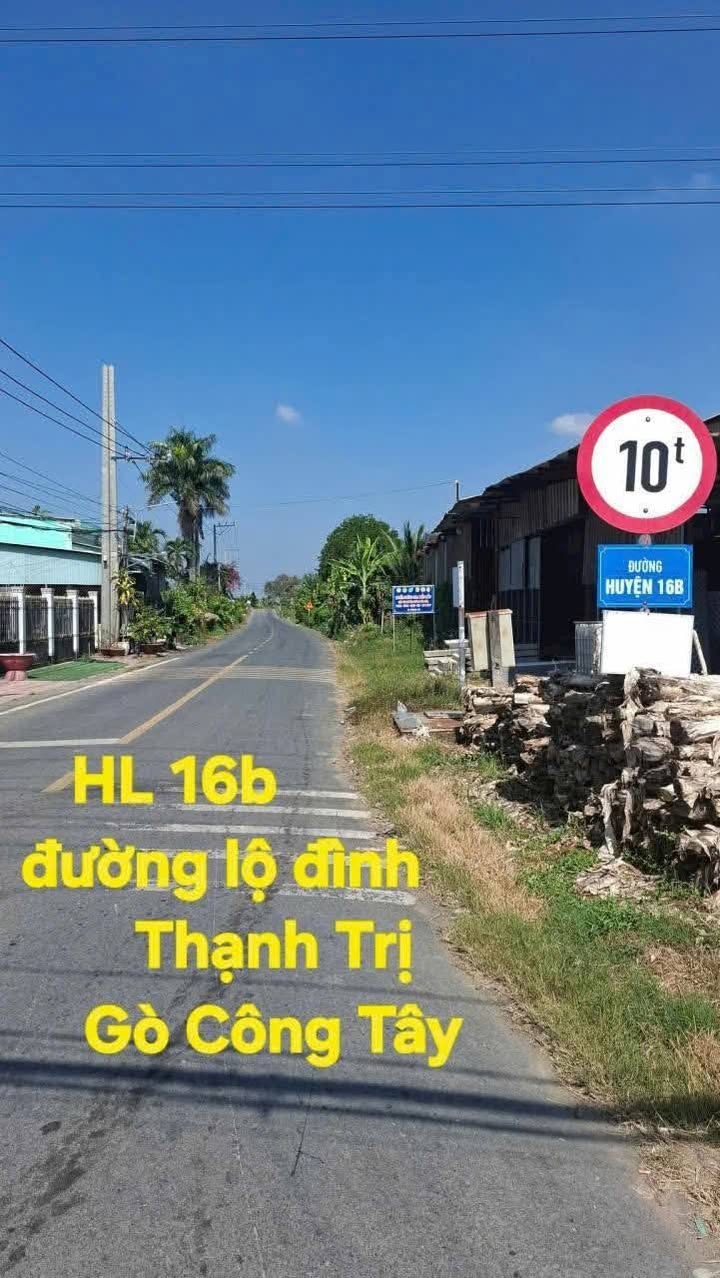 Đất mặt tiền đường lộ Đình 16B, xã Thạnh Trị, 248m² giá 825 triệu - Cơ hội đầu tư tuyệt vời!