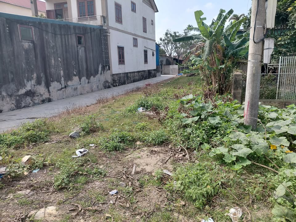 Đất kinh doanh mặt tiền Quốc lộ 1A, xã Việt Tiến, 252m² giá 4.22 tỷ - Đầu tư sinh lời ngay!