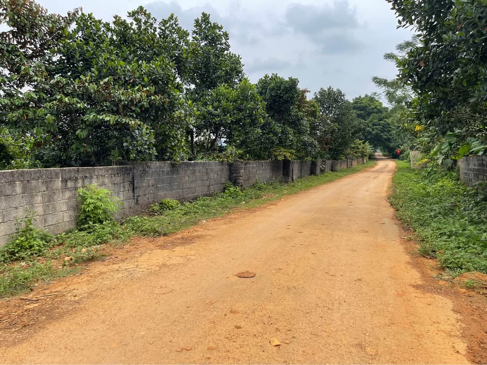 Lô đất thổ cư 200m² tại Vân Du, Thạch Thành chỉ 190 triệu - Đầu tư sinh lời!