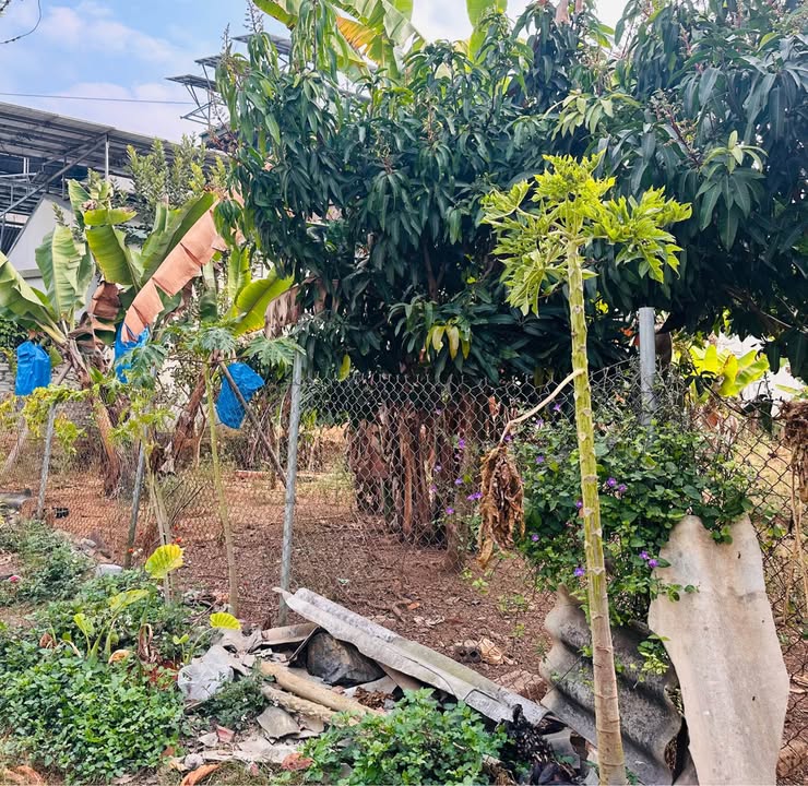 Đất thổ cư 100m² đường Tô Hiệu, TP Sơn La giá 550 triệu - Đầu tư an toàn!