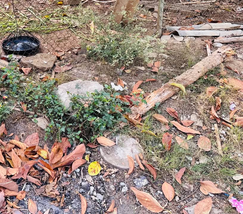 Đất thổ cư Tô Hiệu Sơn La 100m² giá 550 triệu - Ô tô vào tận nơi!