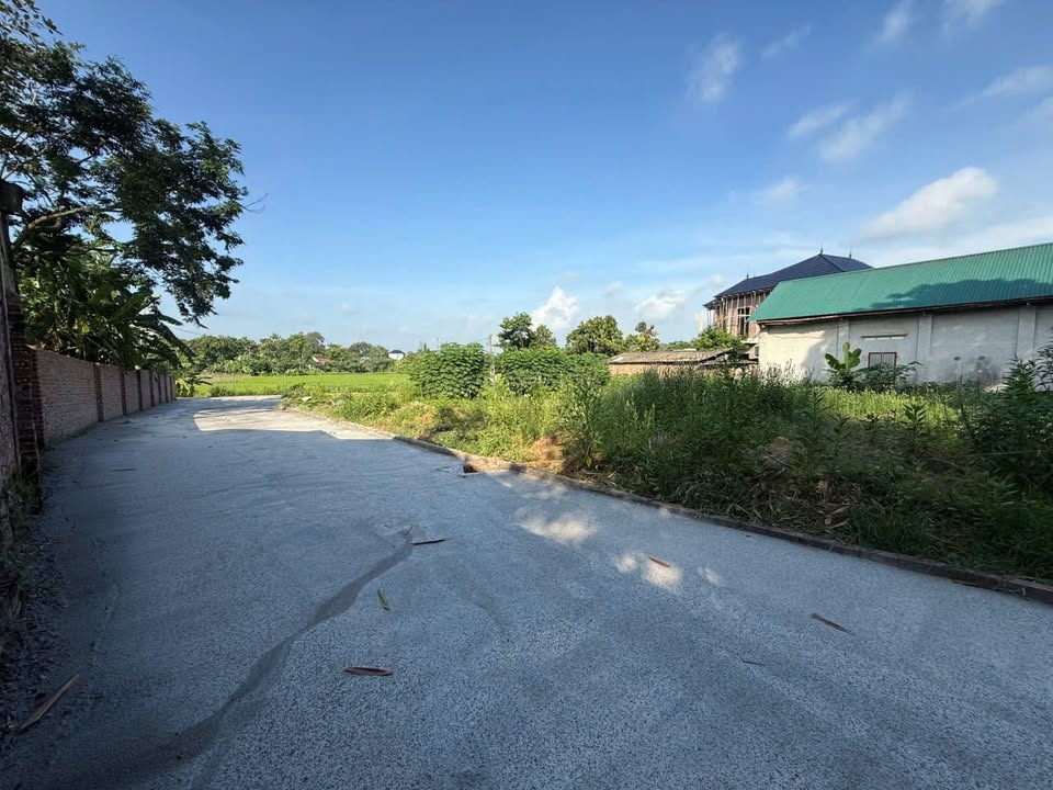 Đất thổ cư xã Hướng Đạo, 107m² giá 600 triệu - Cơ hội đầu tư hấp dẫn!