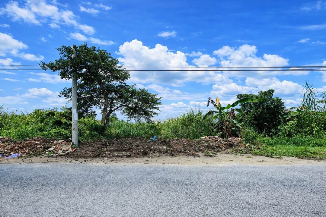 Đất nền mặt tiền đường Hoàng Hoa Thám, Phường 1, Vĩnh Long 606,9m² - Giá tốt bất ngờ!