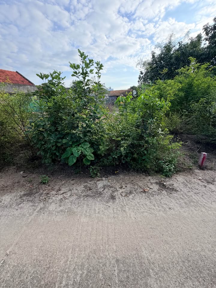 Đất nền thổ cư Hiền Lương, Thăng An, Đà Nẵng 120m² giá 800 triệu - Đầu tư tiềm năng!