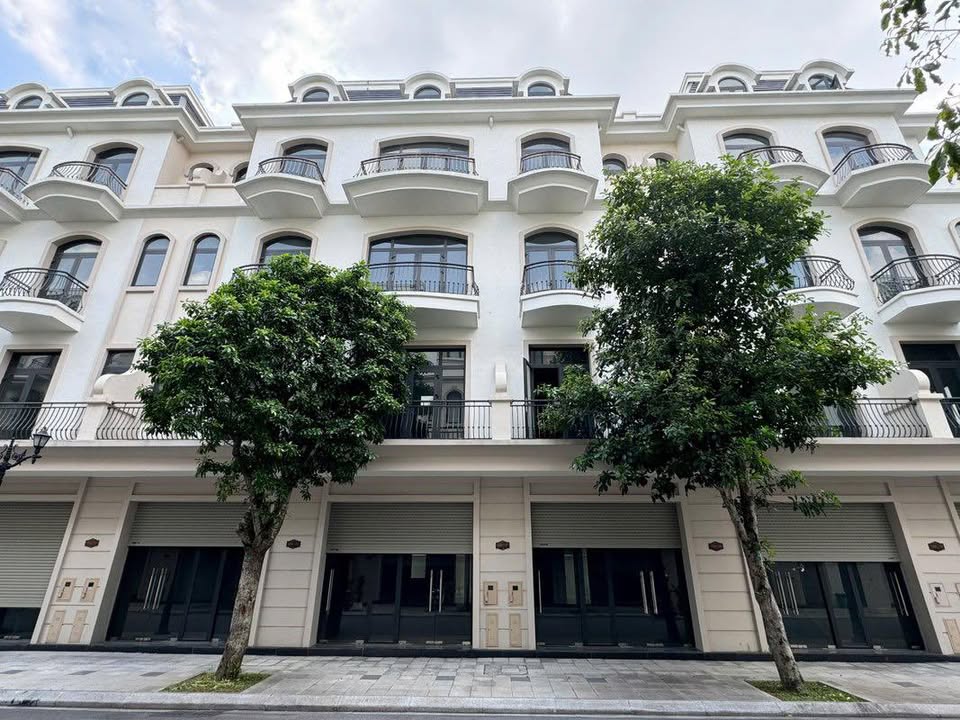 Nhà phố Vinhomes Ocean Park Gia Lâm 48m² giá 7 tỷ - Mặt tiền đẹp, hiện đại!